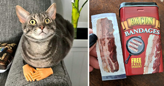 15 silly items that will bring joy to your home
