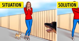 How to Save Your Life If You Meet an Aggressive Stray Dog