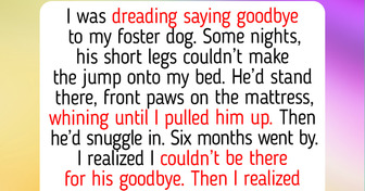 12 Foster Pets Who Came for Two Weeks and Never Left: Mom’s ‘Temporary’ Kitten and Buddy’s Bedtime Ritual