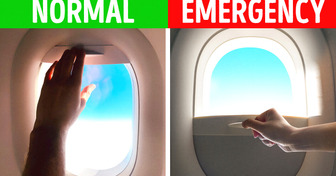 Why Window Shades Are Upside Down in Exit Rows