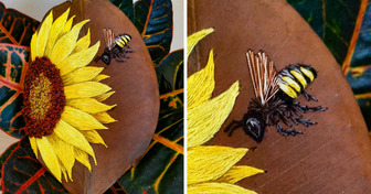 An Artist Turns Fallen Leaves Into Art With Colorful Embroidery