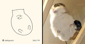 An Artist Creates Adorable Minimalist Cat Drawings, and They Are Surprisingly Accurate