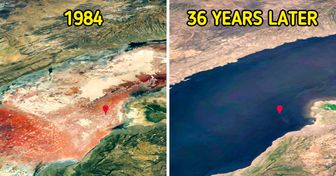 20+ Images Showing How Our Planet Has Changed Over the Past Few Decades