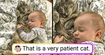 19 Pics That Are Overflowing With Cuteness