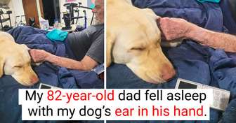 18 Photos Proving Bonds Between Pets and Owners Are for Life