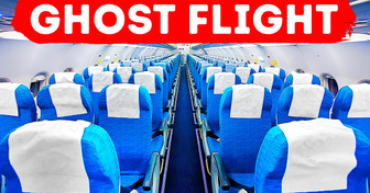 Flight Attendants Reveal What the Crew Does on an Empty Flight
