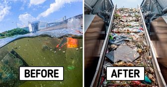 Rivers Can Finally Become Free of Trash, and the Oceans Are Thankful for It