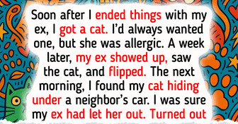 I Was Sure My Ex Freed My Cat to Hurt Me—Then I Learned the Truth