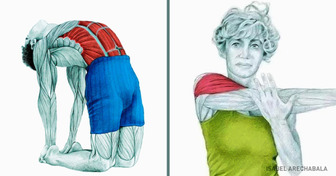 These Illustrations Explain Which Muscles You’re Stretching