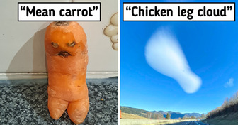 19 Times Nature Disguised Itself as Something Completely Different