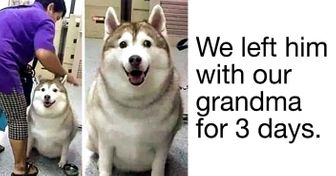 24 Tweets Proving That Pets Change Our Lives for the Better