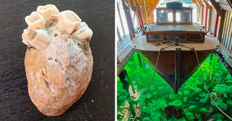 17 People Who Amazed Us With Their Discoveries