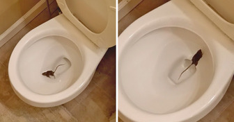 15+ Moments That Made People Scream Internally