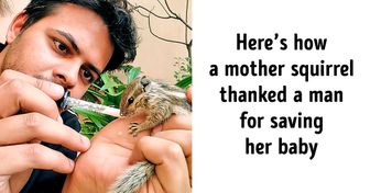 Squirrel Mom Thanks a Guy for Saving Her Baby in the Most Precious Way