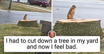 20 People Whose Day Was Boring Until Unforeseen Things Happened