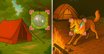 8 Uncommon Camping Tools You Might Not Want to Miss This Summer