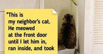 23 Friendly Cats That Love Chilling With the Neighbors