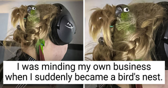 15+ Pets Who Won’t Let You Get Bored Even for a Minute