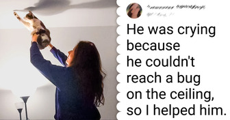 13 Sincere Photos Showing What True Support Really Is