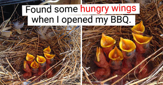 15 Times People Were a Little Far From Having a Normal Day