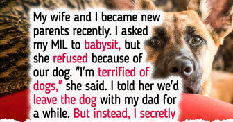 My MIL Refuses to Babysit Because We Have a Dog—It’s Not That Serious