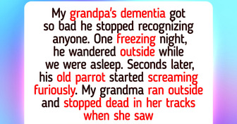 11 Touching Stories of Animal Kindness That Prove Love Has No Species