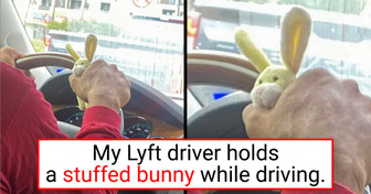 20+ Surprises That Made People Wonder If Reality Took a Coffee Break