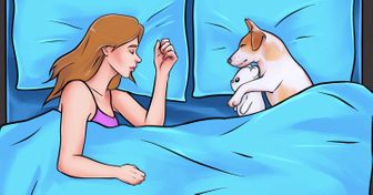 4 Reasons Why You Should Save Some Space for Your Dog in the Bedroom