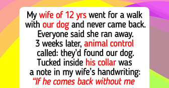 12 Acts of Kindness That Prove Animal Shelters Still Hold the Quiet Compassion Our World Needs in 2026