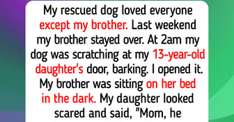 12 Rescue Dogs and Cute Cats From Animal Shelters Who Got Their Forever Happy Homes Just in Time for Fall 2026