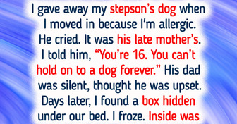 16 Stories Where Silent Kindness Shook the Entire World