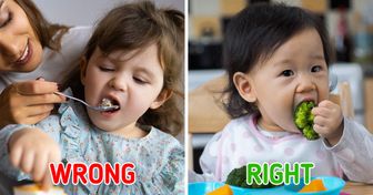 8 Tips for How to Make Your Child Eat Healthy Food