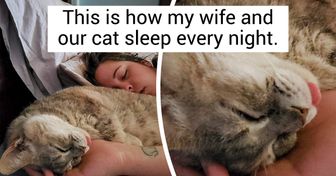 17 Pets Who Found Their Own Way to Say “I Love You Human”