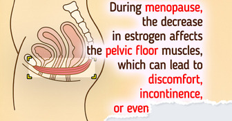 7 Essential Things About Pelvic Floor Women Could Benefit From
