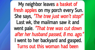 Virginia Woman Brought Her Neighbor Fresh Apples Every Sunday for 8 Months, Until Her Neighbor Finally Found Out Where They Really Came From