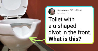 19 Times Daily Mysteries Were Solved by Internet Detectives