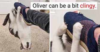 20 Times Pets Unintentionally Put Their Owners in Laugh Out Loud Mode
