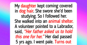 15 Acts of Kindness That Prove Rescue Dogs Still Hold Humanity Together in 2026