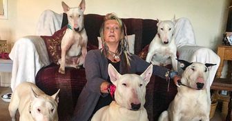 A Man Made His Wife Choose Between Her Dogs and Him, and She Stayed With the Dogs
