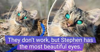 15 Animals Who Are Living Proof of Nature’s Ability to Create Beauty