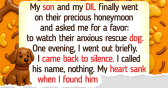 My Son and DIL Invited Me to Babysit Their Anxious Dog—I Wasn’t Ready for This Outcome