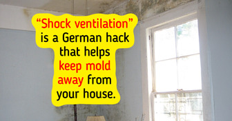 5 Smart Ways to Prepare Your Home for Autumn and Winter and Prevent Damp, Mold, and Mildew
