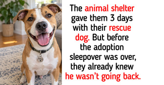 Philadelphia Couple Took a Rescue Dog Home From an Animal Shelter for a Sleepover; He Never Went Back
