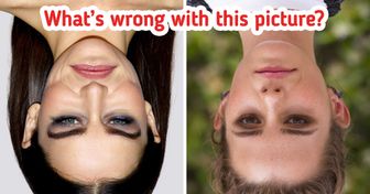 Find the Mistakes in These 10+ Pics That’ll Take Your Brain for a Mental Hike