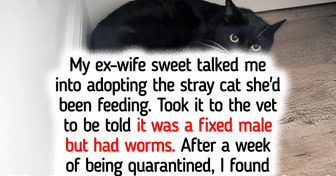 25 Quirky Animals That Make Life Instantly Better Just by Being Themselves