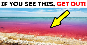 If You See the Ocean Is Red, Don’t Come In!