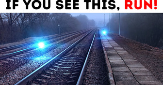 If You See These Lights, Leave the Area ASAP