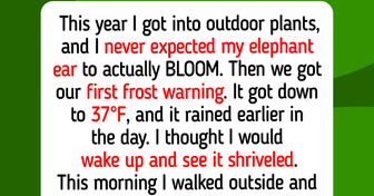12 Gardeners Who Raced the First Frost, From 72 Luffas to a Turtle Who Ate the Last Tomato