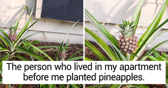 15 People Share Some of the Most Fascinating Things They’ve Found or Created