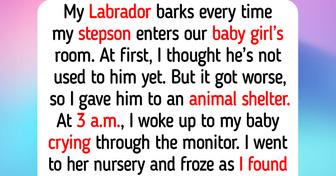 13 Animal Shelter Moments That Prove Real Compassion and Quiet Kindness Have No Pedigree